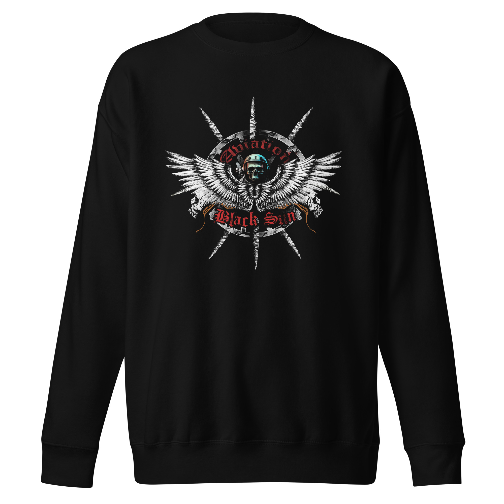 Buy a warm "Aviation" sweatshirt